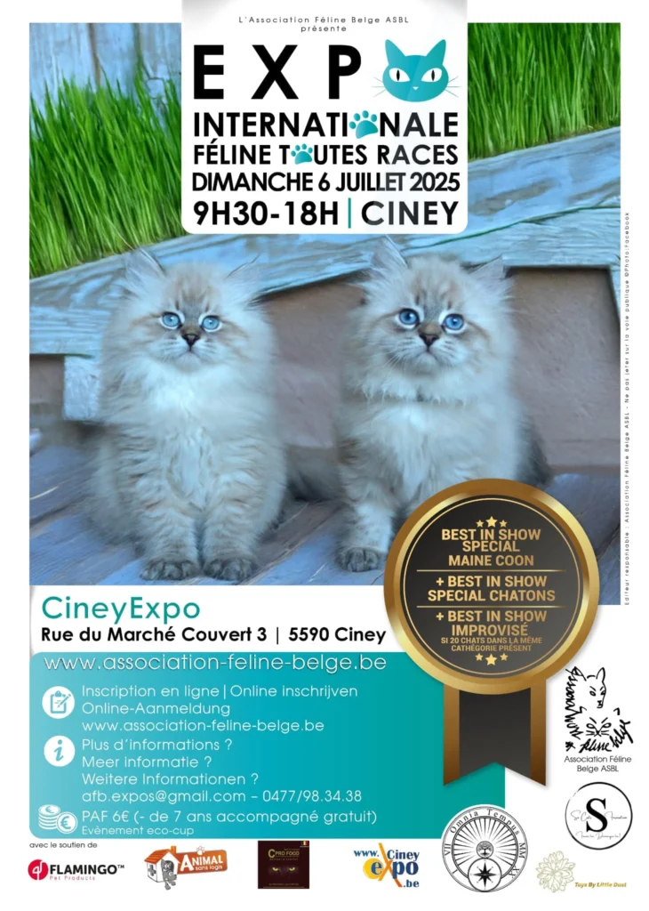 Exposition féline à Ciney Expo le 6 juillet 2025 - AFB